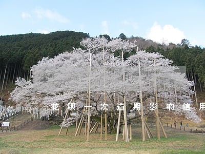花呗一次逾期影响信用嘛 花呗一次逾期影响信用嘛