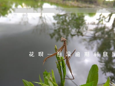 花呗一百没逾期利息是多少钱 花呗一百没逾期利息是多少钱