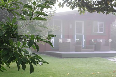 花呗一百逾期了554天多少利息 花呗一百逾期了554天多少利息