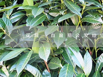 花呗一直逾期会发短信给父母吗 花呗一直逾期会发短信给父母吗