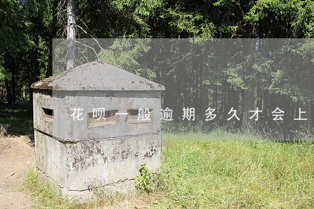 花呗一般逾期多久才会上升下 花呗一般逾期多久才会上升下