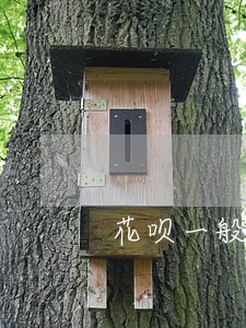 花呗一般逾期多久没事 花呗一般逾期多久没事