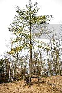 花呗三万多逾期 花呗三万多逾期