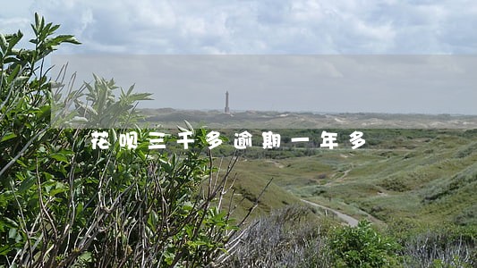 花呗三千多逾期一年多 花呗三千多逾期一年多