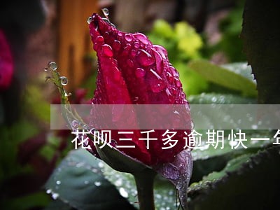 花呗三千多逾期快一年了怎么办 花呗三千多逾期快一年了怎么办
