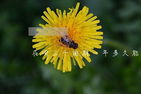 花呗三千逾期一年多久能恢复使用 花呗三千逾期一年多久能恢复使用