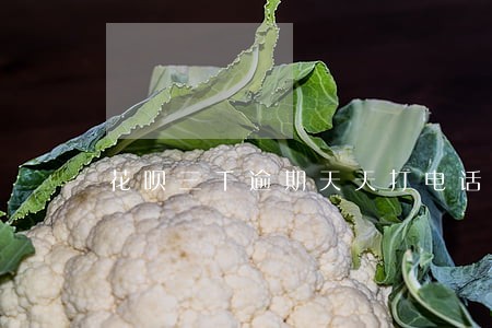 花呗三千逾期天天打电话 花呗三千逾期天天打电话