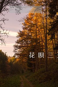 花呗三天内算不算逾期 花呗三天内算不算逾期
