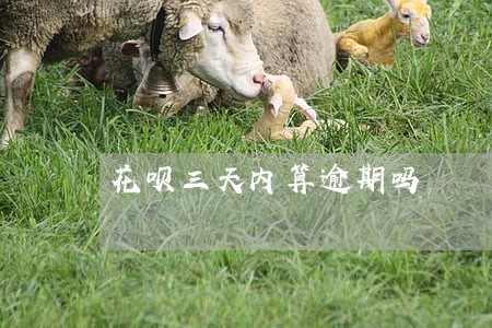 花呗三天内算逾期吗 花呗三天内算逾期吗