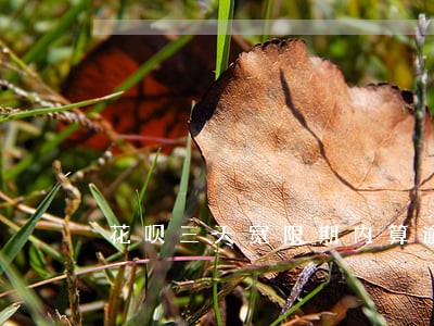 花呗三天宽限期内算逾期吗 花呗三天宽限期内算逾期吗