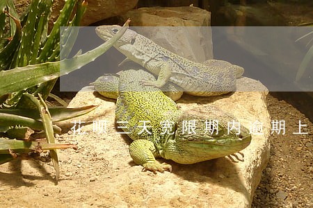 花呗三天宽限期内逾期上征信吗 花呗三天宽限期内逾期上征信吗