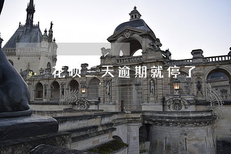 花呗三天逾期就停了 花呗三天逾期就停了