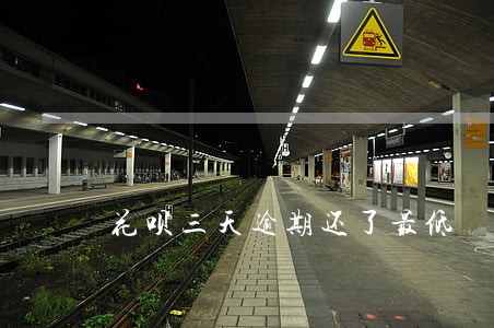 花呗三天逾期还了最低
