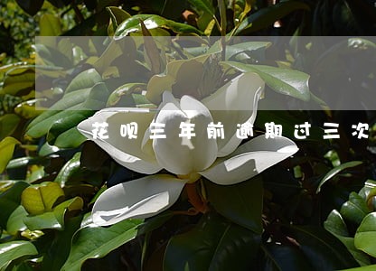 花呗三年前逾期过三次会怎么样 花呗三年前逾期过三次会怎么样