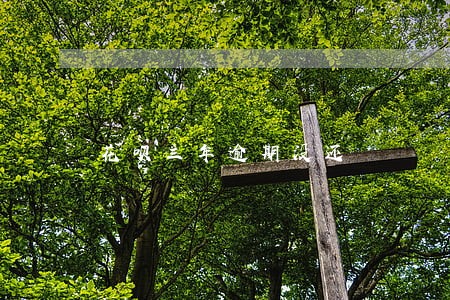 花呗三年逾期没还 花呗三年逾期没还