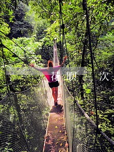 花呗三次逾期已守约怎么办 花呗三次逾期已守约怎么办