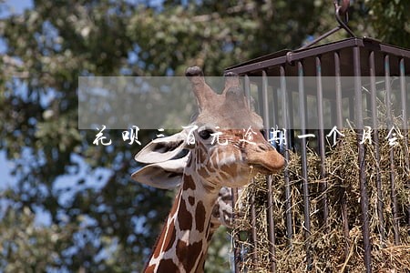 花呗三百元逾期一个月会咋样 花呗三百元逾期一个月会咋样