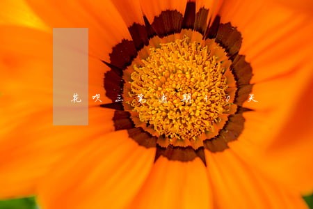 花呗三笔逾期30天 花呗三笔逾期30天