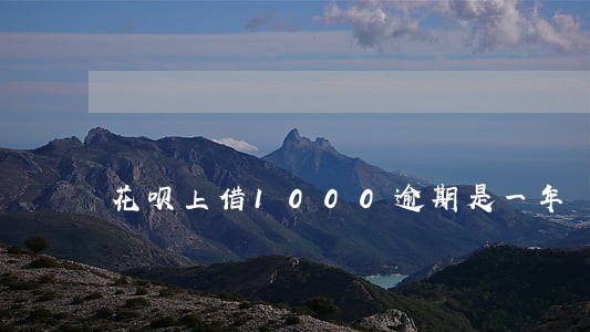 花呗上借1000逾期是一年 花呗上借1000逾期是一年
