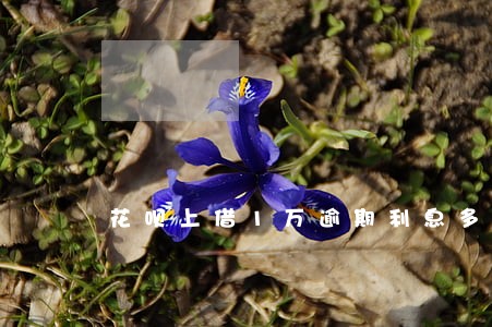 花呗上借1万逾期利息多少 花呗上借1万逾期利息多少