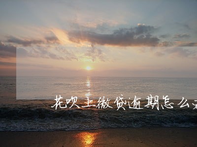 花呗上微贷逾期怎么办 花呗上微贷逾期怎么办