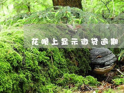 花呗上显示微贷逾期 花呗上显示微贷逾期