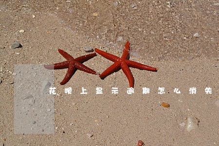 花呗上显示逾期怎么消失