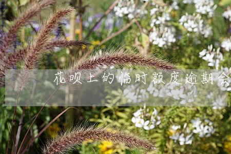 花呗上的临时额度逾期会怎么样 花呗上的临时额度逾期会怎么样