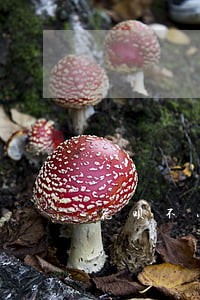 花呗不小心逾期两天 花呗不小心逾期两天