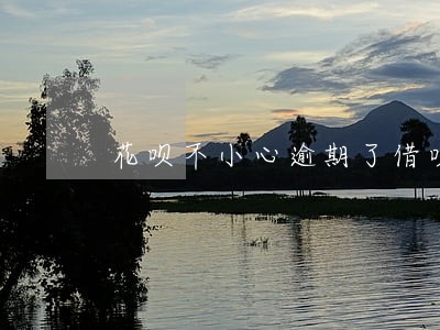 花呗不小心逾期了借呗被关闭 花呗不小心逾期了借呗被关闭