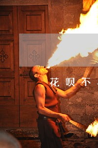 花呗不小心逾期分数申请恢复 花呗不小心逾期分数申请恢复
