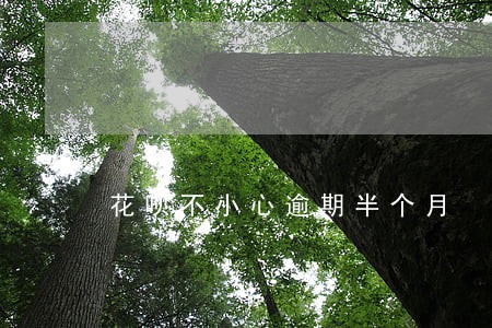 花呗不小心逾期半个月 花呗不小心逾期半个月