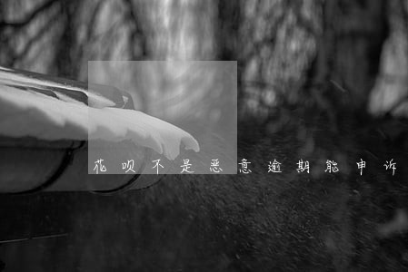 花呗不是恶意逾期能申诉吗 花呗不是恶意逾期能申诉吗