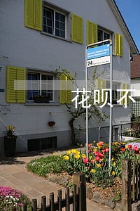 花呗不能使用显示微贷逾期 花呗不能使用显示微贷逾期