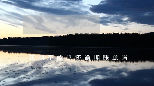 花呗不能单还逾期账单吗 花呗不能单还逾期账单吗