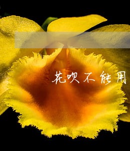 花呗不能用了怎么查询那个逾期 花呗不能用了怎么查询那个逾期