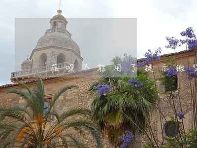 花呗不能用了提示微贷逾期 花呗不能用了提示微贷逾期