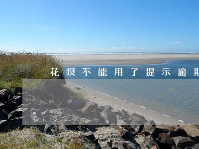 花呗不能用了提示逾期 花呗不能用了提示逾期