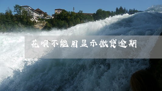 花呗不能用显示微贷逾期 花呗不能用显示微贷逾期