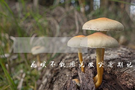 花呗不能用说微贷逾期记录 花呗不能用说微贷逾期记录