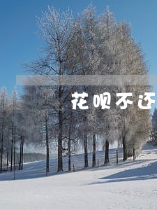 花呗不还逾期会影响什么信用 花呗不还逾期会影响什么信用