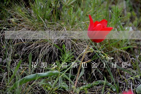 花呗不逾期也会上征信 花呗不逾期也会上征信