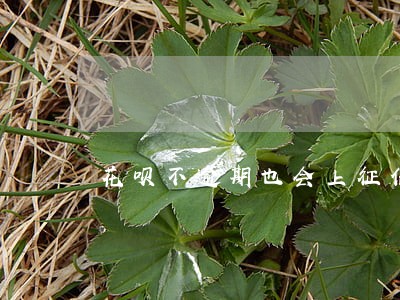花呗不逾期也会上征信吗 花呗不逾期也会上征信吗