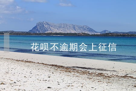 花呗不逾期会上征信 花呗不逾期会上征信