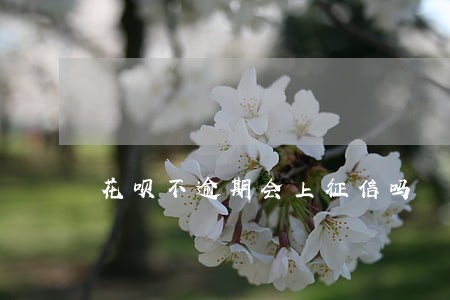 花呗不逾期会上征信吗 花呗不逾期会上征信吗