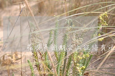 花呗不逾期会上征信有记录嘛 花呗不逾期会上征信有记录嘛