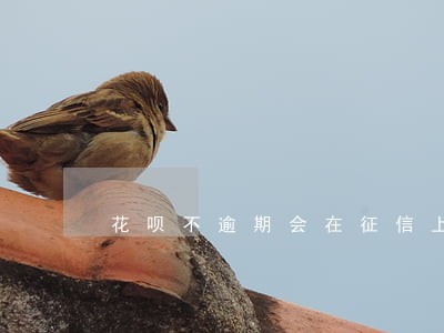 花呗不逾期会在征信上显示吗