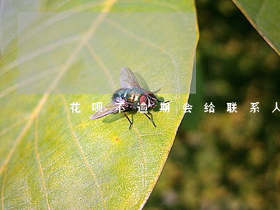 花呗不逾期会给联系人打电话么 花呗不逾期会给联系人打电话么
