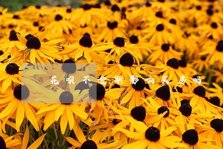 花呗不逾期影响买房吗 花呗不逾期影响买房吗