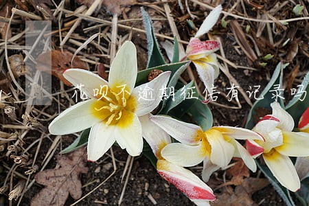 花呗不逾期征信有记录吗 花呗不逾期征信有记录吗